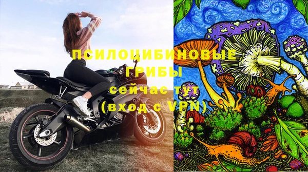 дмт Алексин