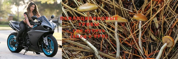 круглые Алзамай