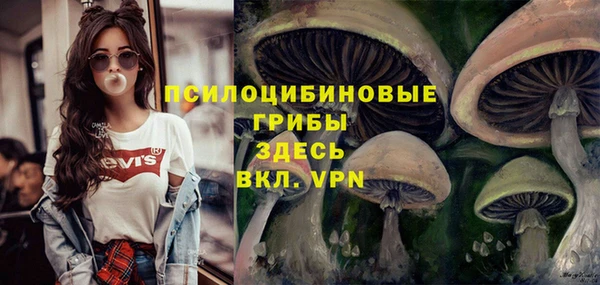 дмт Алексин